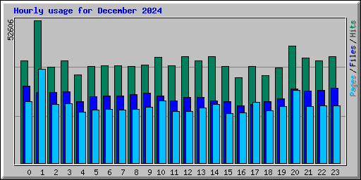 Hourly usage for December 2024