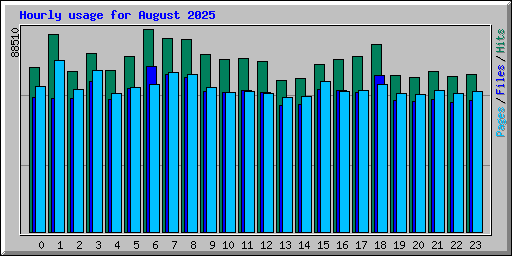 Hourly usage for August 2025