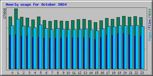 Hourly usage for October 2024