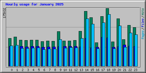 Hourly usage for January 2025