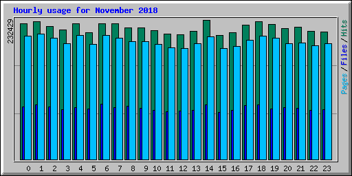 Hourly usage for November 2018