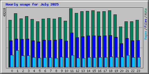 Hourly usage for July 2025